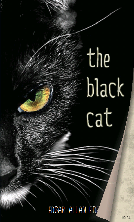 Книга на английском - Эдгар Аллан По Чёрный кот и другие истории - обложка книги скачать бесплатно