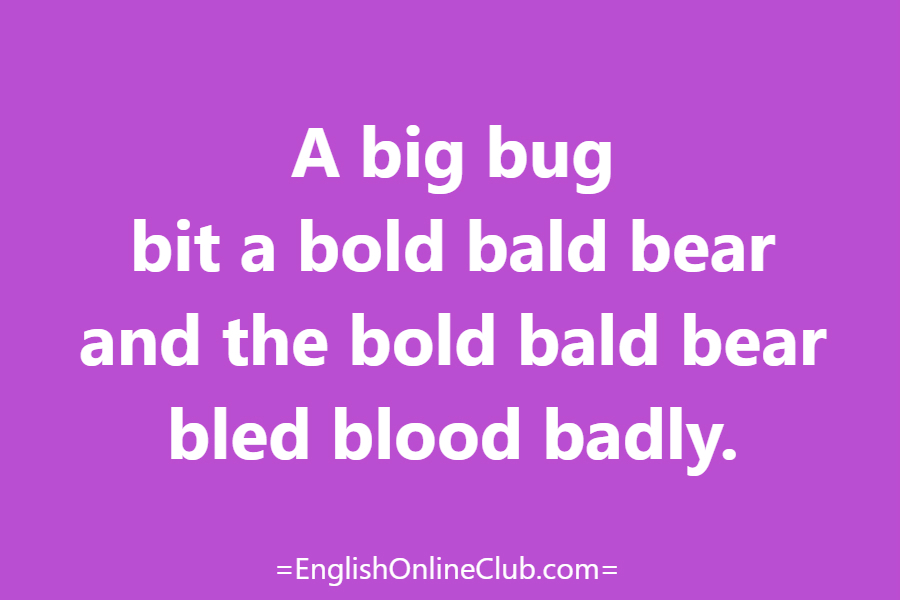 английская скороговорка - как перевести A big bug bit a bold bald bear and the bold bald bear bled blood badly. перевод english tongue twister