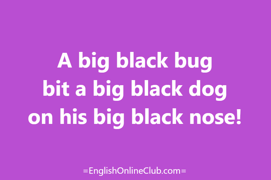 английская скороговорка - как перевести A big black bug bit a big black dog on his big black nose! перевод english tongue twister